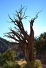 photo thumbnail #14