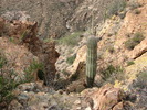 photo thumbnail #6