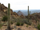 photo thumbnail #9