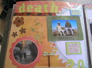 photo thumbnail #14
