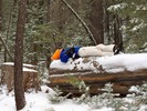photo thumbnail #9