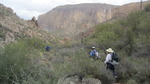 photo thumbnail #6