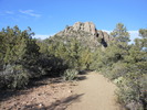 photo thumbnail #15