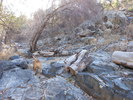 photo thumbnail #7