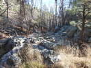 photo thumbnail #9