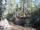 photo thumbnail #13