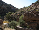 photo thumbnail #15