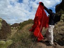 photo thumbnail #8