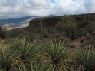 photo thumbnail #9