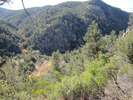 photo thumbnail #9
