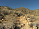 photo thumbnail #2