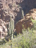 photo thumbnail #2