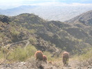 photo thumbnail #1