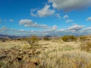 photo thumbnail #14