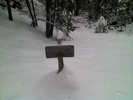 photo thumbnail #10
