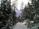 photo thumbnail #12