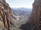 photo thumbnail #3