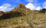 photo thumbnail #5
