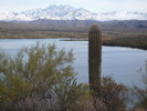 photo thumbnail #1