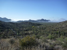 photo thumbnail #1
