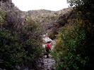 photo thumbnail #7