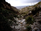 photo thumbnail #10