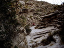 photo thumbnail #11