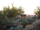 photo thumbnail #12