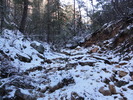 photo thumbnail #12