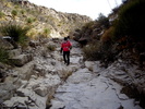 photo thumbnail #14