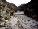 photo thumbnail #15