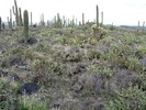 photo thumbnail #10