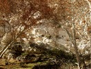 photo thumbnail #10