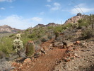 photo thumbnail #14