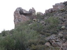 photo thumbnail #11