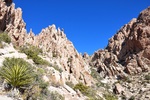 photo thumbnail #13