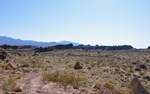 photo thumbnail #3