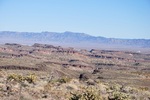 photo thumbnail #11