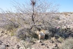 photo thumbnail #13
