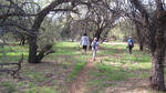 photo thumbnail #10