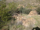 photo thumbnail #11