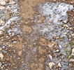 photo thumbnail #13