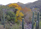 photo thumbnail #11