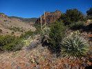 photo thumbnail #5