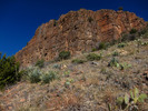 photo thumbnail #8