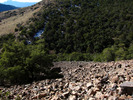 photo thumbnail #13
