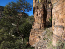 photo thumbnail #14