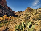 photo thumbnail #7