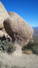 photo thumbnail #5