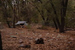 photo thumbnail #6